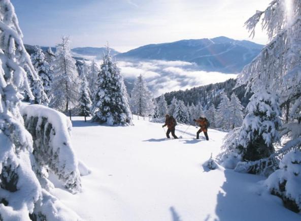 Apartmán Haus Nadja Bad Kleinkirchheim Exteriér fotografie